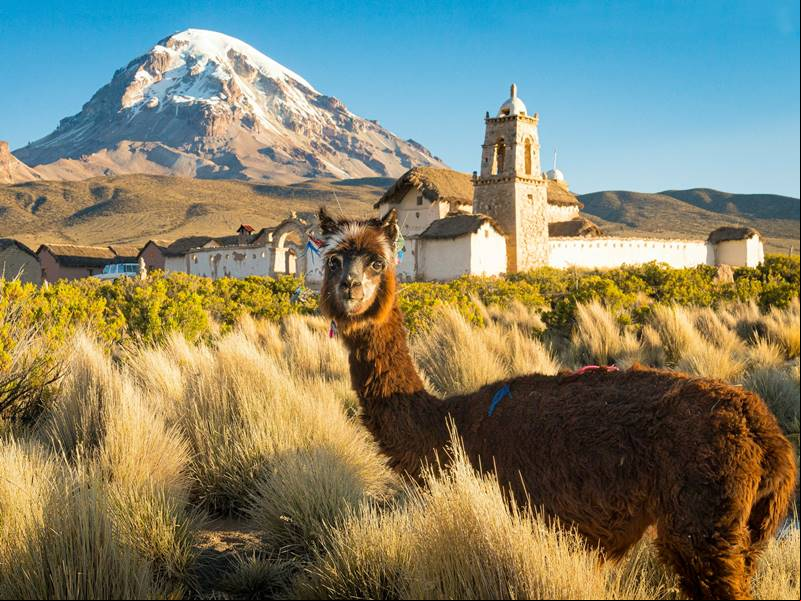 O Nevado Sajama 