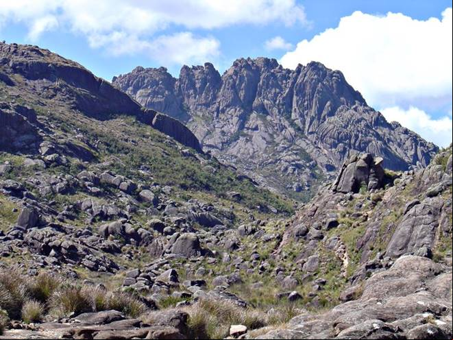 Pico das Agulhas Negras - Parque Nacional de Itatiaia - Itatiaia - Estado do Rio de Janeiro - Regi