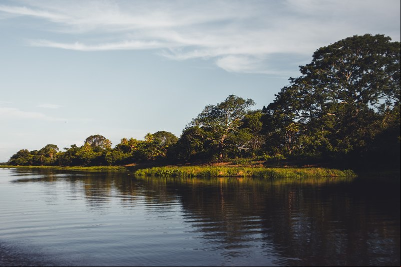 Pantanal - Pocon
