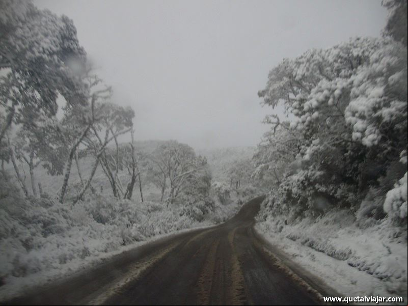 Neve em Urubici - Neve no Morro da Igreja - Serra Catarinense - Santa Catarina - Regi